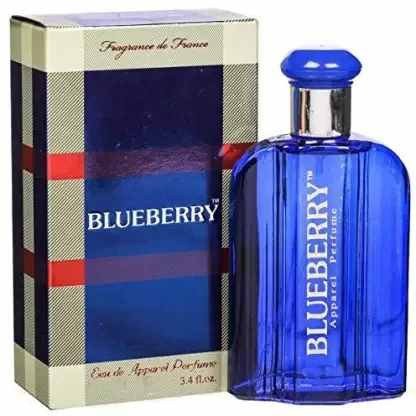 BLUEBERRY blue berry Perfume - 30 ml  (For Men & Women)